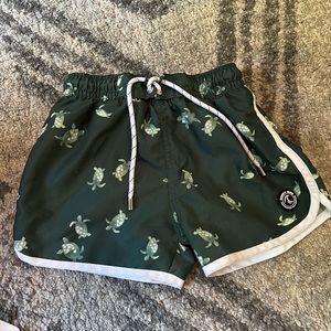 Binky bro turtle swimmies